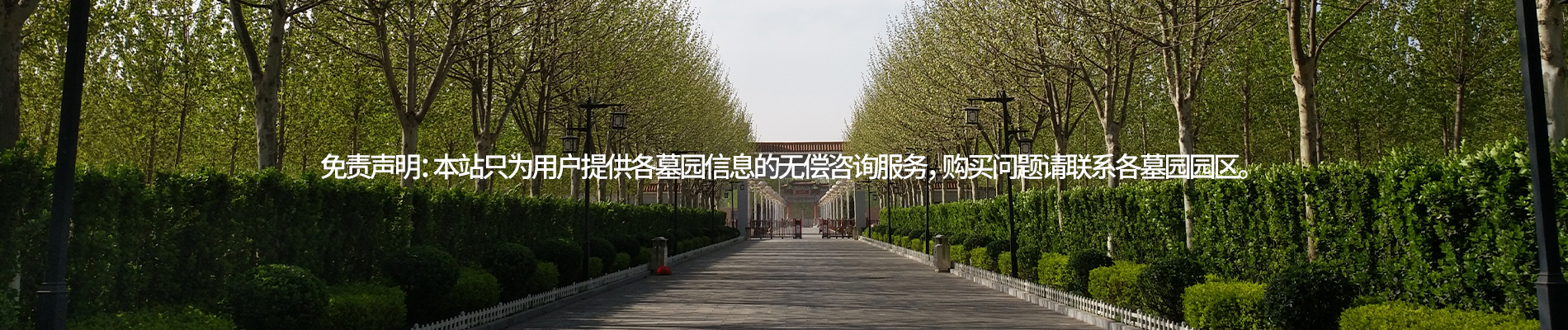 植树葬,天津公墓,天津树葬